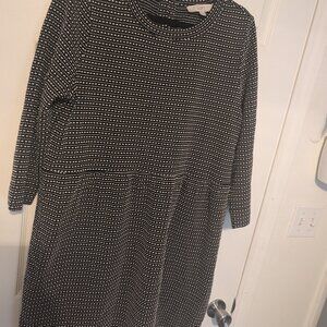 Loft Shift Dress Black/White Womens Dress Petite Large NWT
